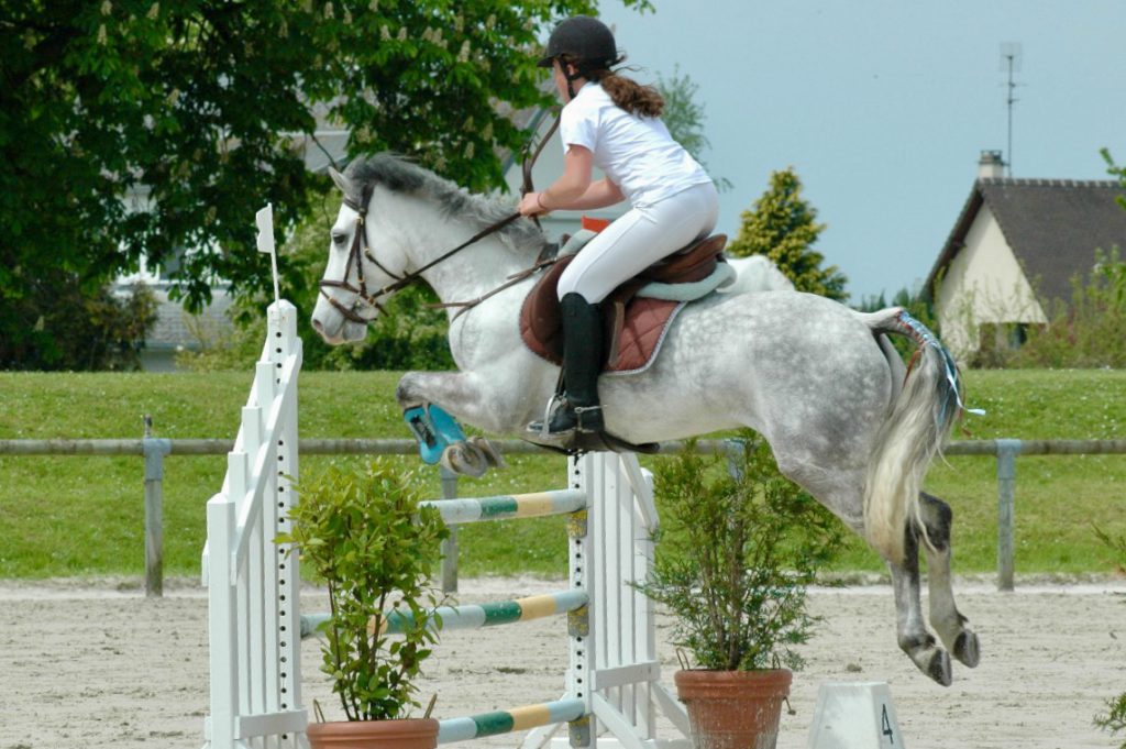 Concours hippique, Paarden, paardensport,