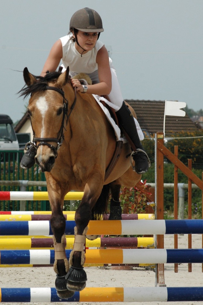 Concours hippique, Paarden, paardensport,