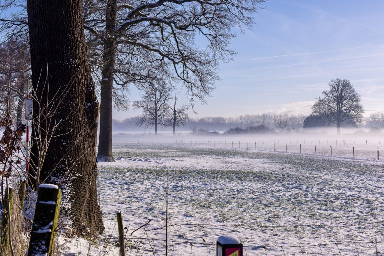 Winters Landschap