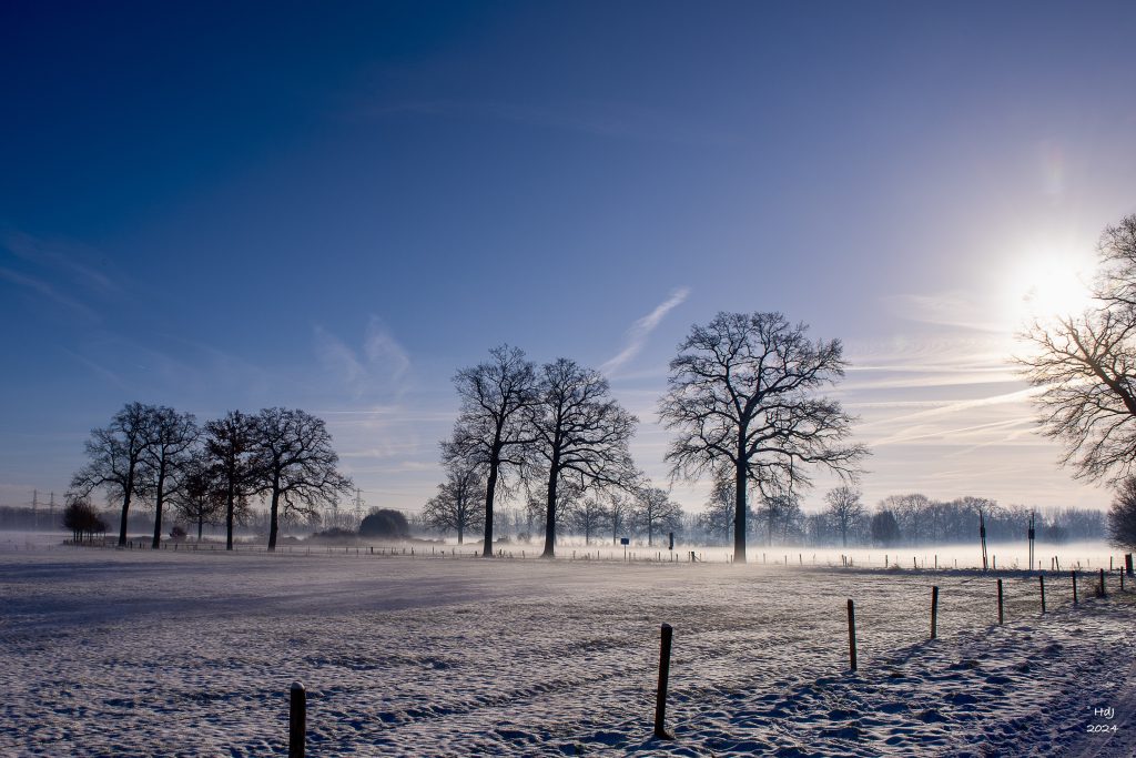 Winter Landschap